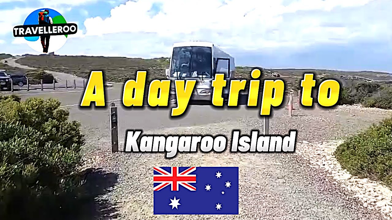 🏝️🐨 A day trip to Kangaroo Island 🏝️🐨
