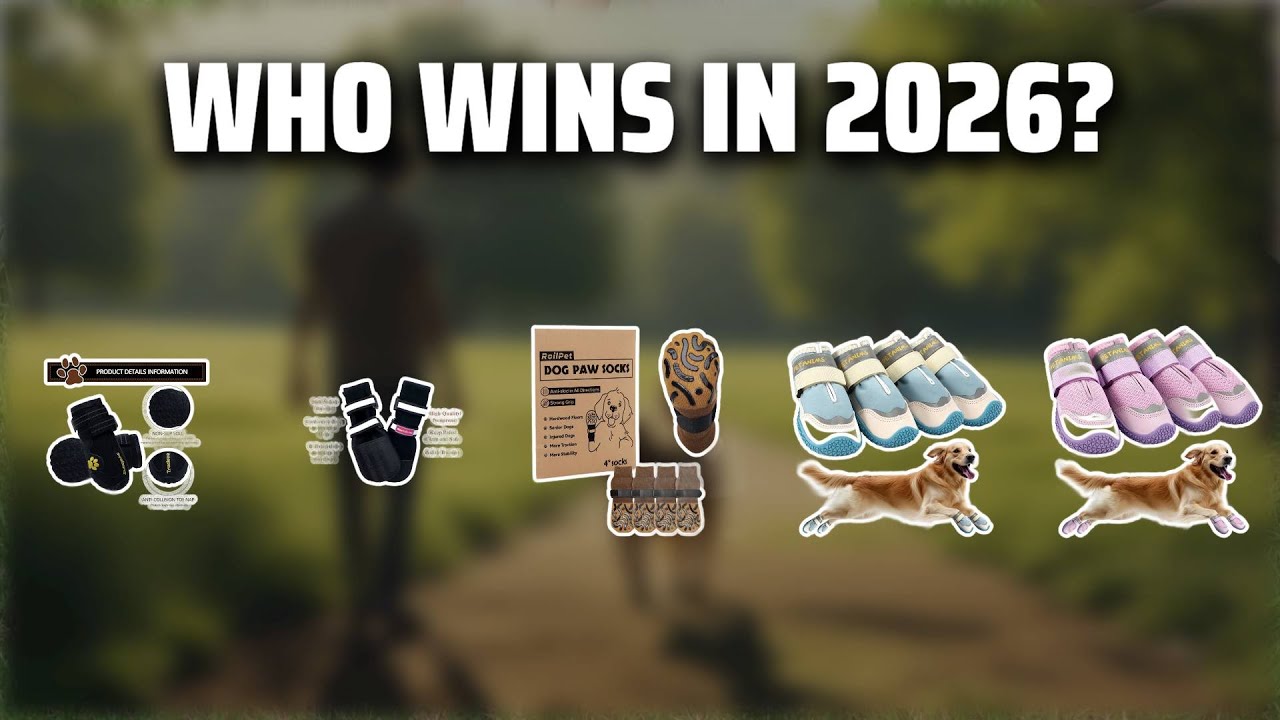 The Top 5 Best Duggz Dog Boots in 2026 - Must Watch Before Buying!