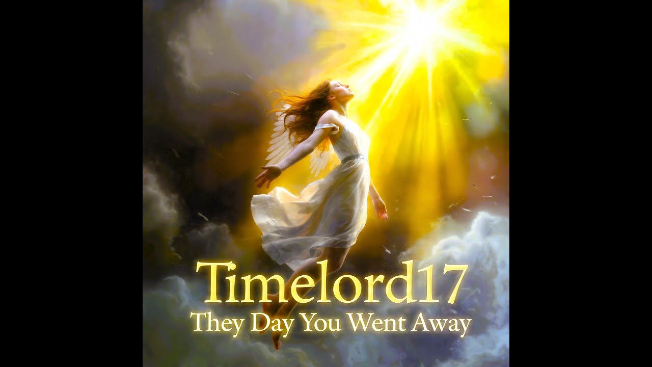 Timelord17 - The Day You Went Away