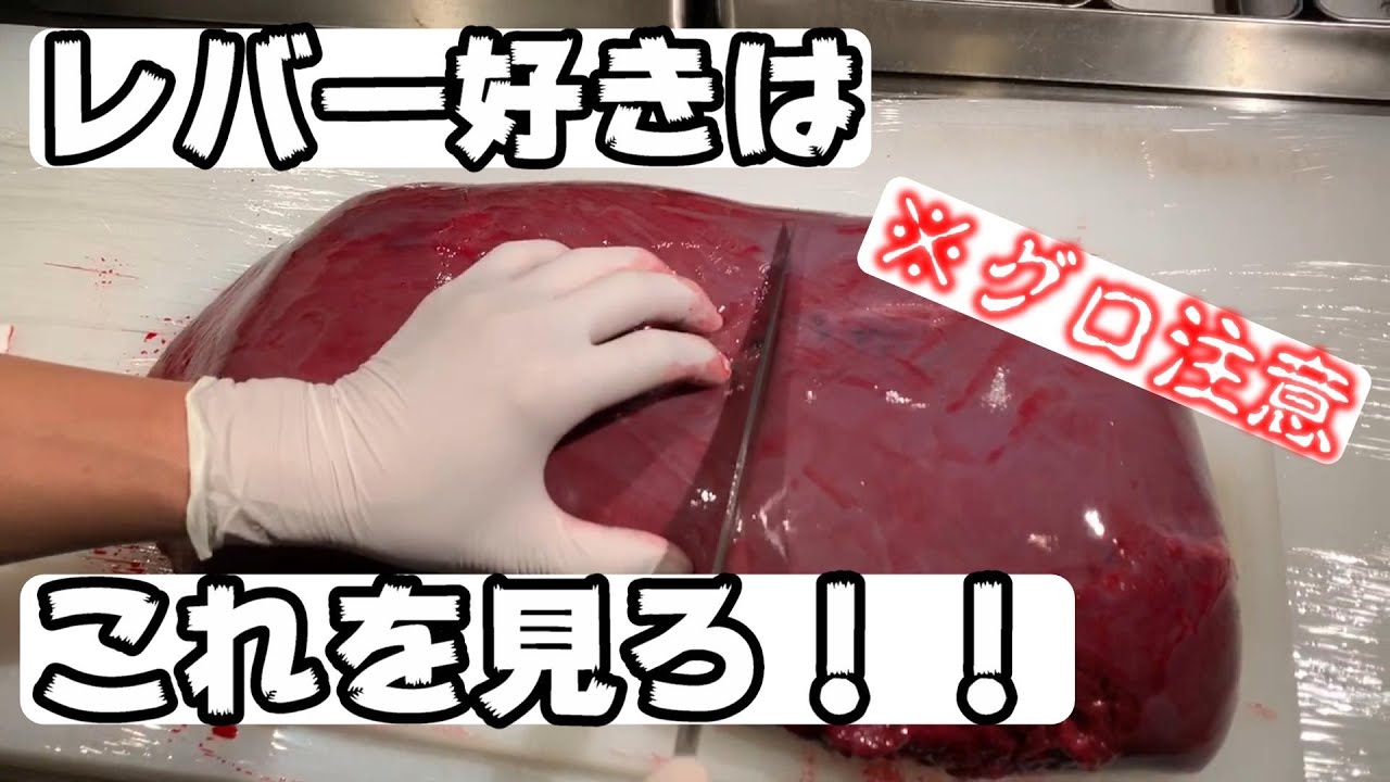 【レバ】必見‼︎レバー好きへ‼︎これを見ずしてレバを語るな‼︎