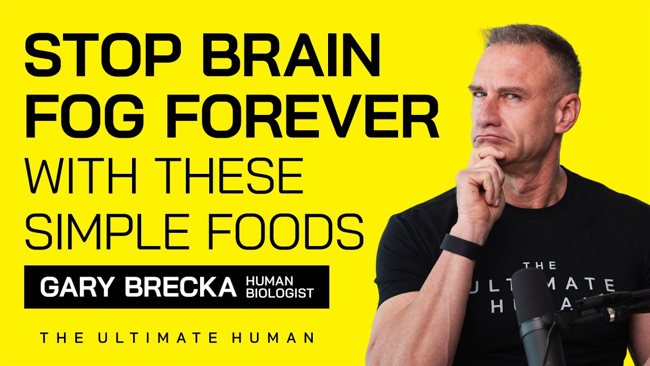 Why Polyphenols Are The Brain Food You Need RIGHT NOW! | TUH #126