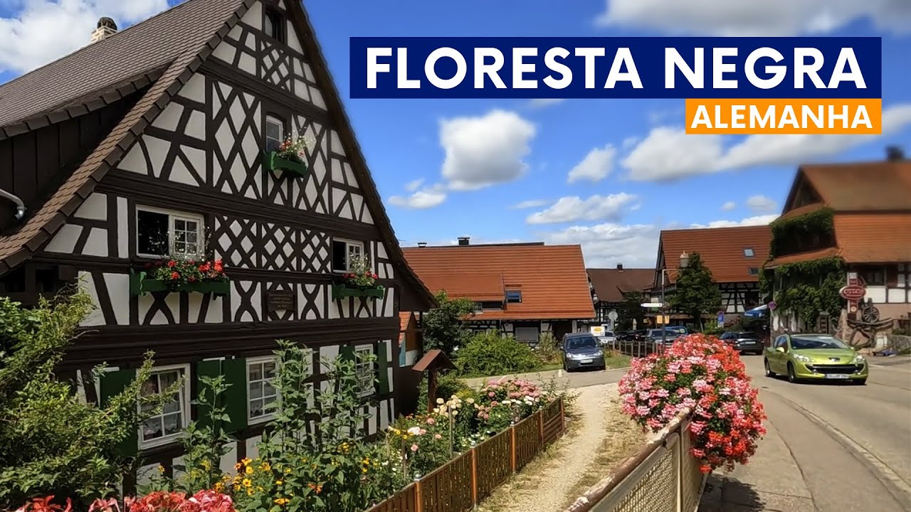 Conhecendo a Floresta Negra!