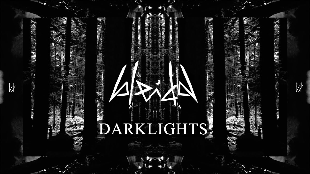 Bleidd - Darklights (Official Lyric Video)