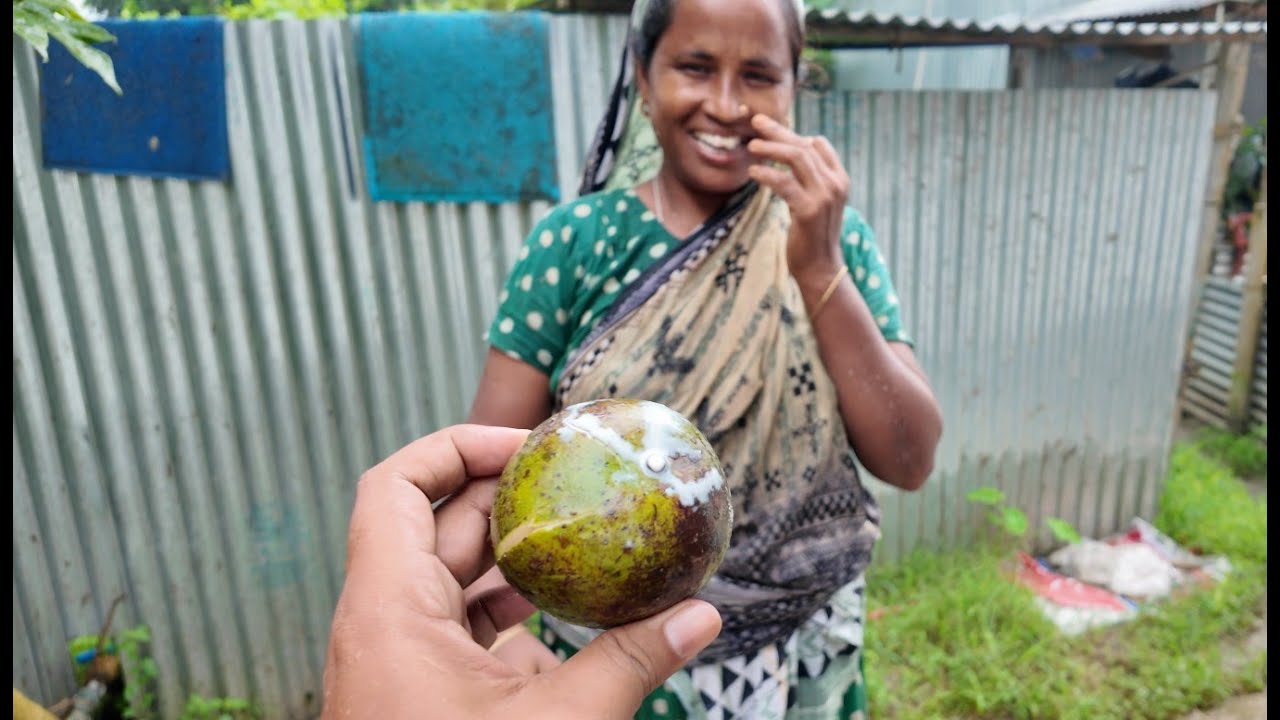 এই অসময়ে গাছ পাকা আম খেলাম | Doyel Agro