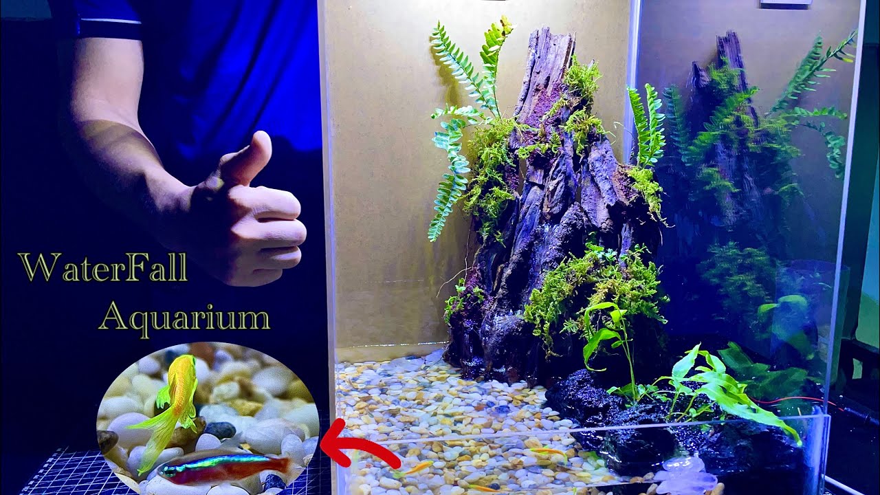 I Built a Stunning Aquarium with a Waterfall & Terrarium | Aquarium Biuld