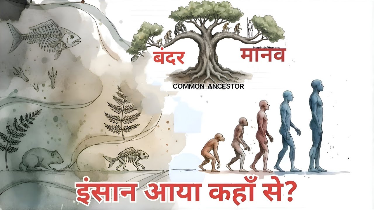 “इंसान कहाँ से आया?