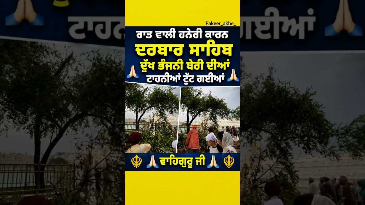 What Happened at Darbar Sahib Last Night? Dukh Bhanjani Beri Update ✨🙏 #punjabinews #viral
