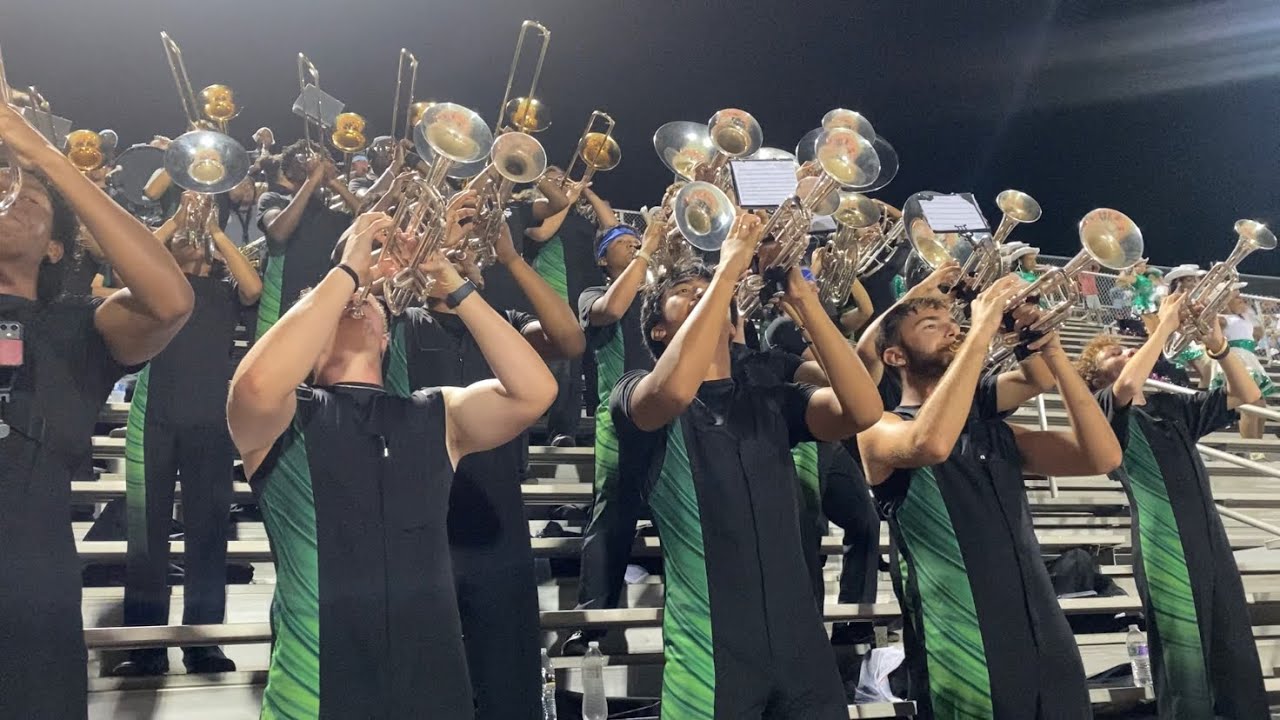 Spring Lion Band - Neck