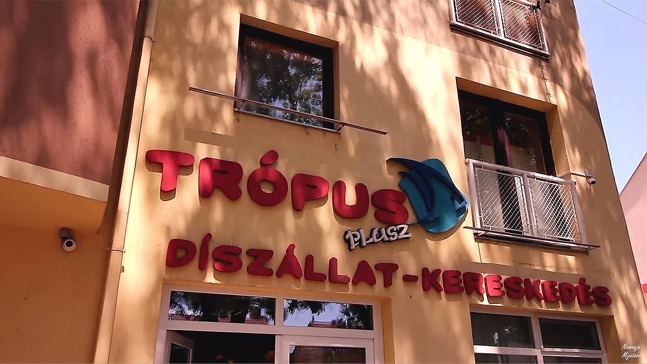 VISITING TROPUS-SZEGED l REEF TANK VLOG_041
