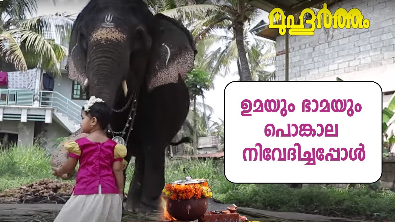 ഉമയും ഭാമയും പൊങ്കാല നിവേദിച്ചപ്പോള്‍ |Muhurtham