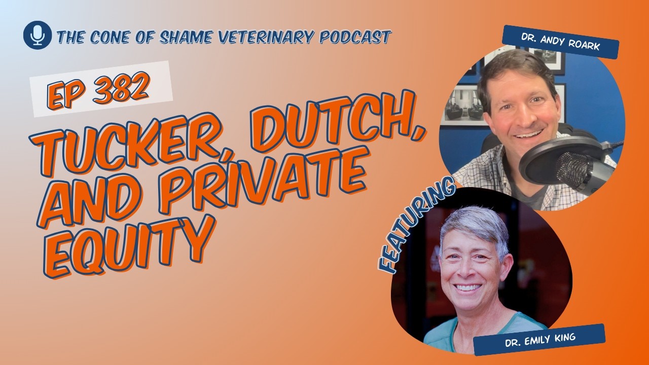 382 - Tucker, Dutch, and Private Equity