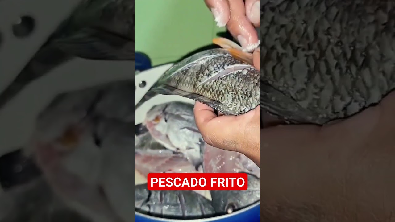 Pintadilla Frita #pescado #pescador #pescaartesanal