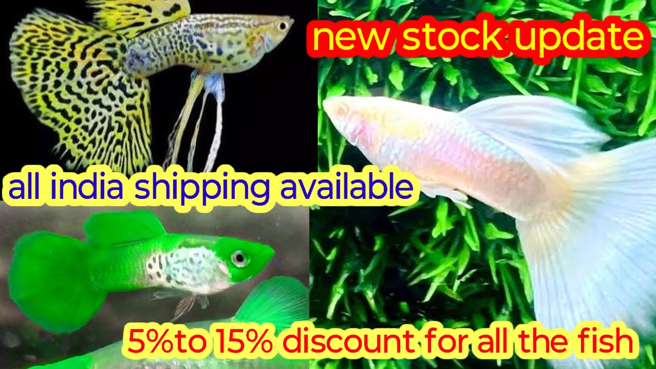 New stock update / starting fro 50 rs / delivery available 