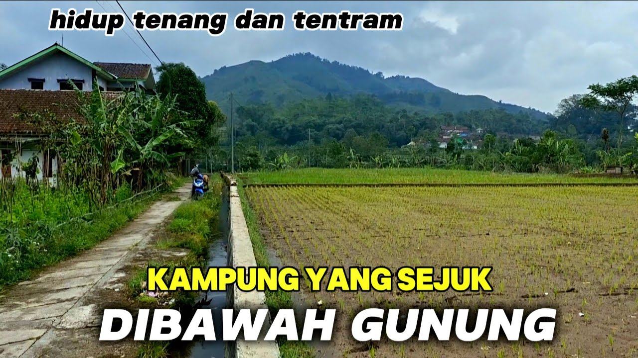 SETENANG INI HIDUP DISINI // Tenang adem dan sejuk, Bahagia