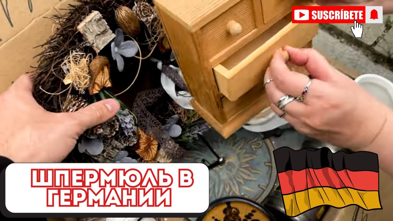 Шпермюль в Германии/Что выбрасывают немцы/Интересные находки в мусоре