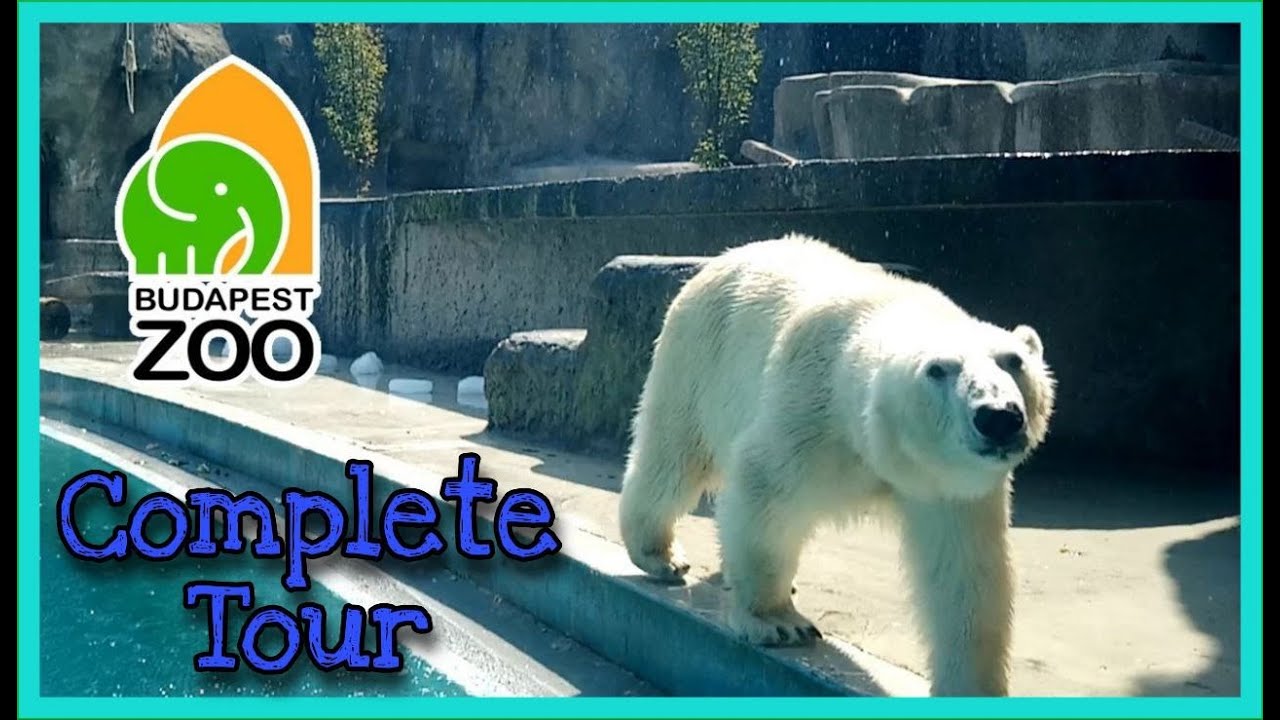 ZOO BUDAPEST COMPLETE TOUR 4K - NICE ACTIVITY TO DO IN BUDAPEST WITH KIDS  #BUDAPEST #ZOO #ANIMALS
