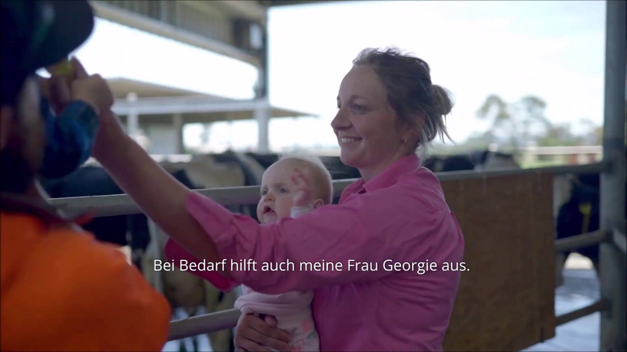 GEA Dairy Farming - Brunsterkennung und Gesundheitsüberwachung mit GEA CowScout