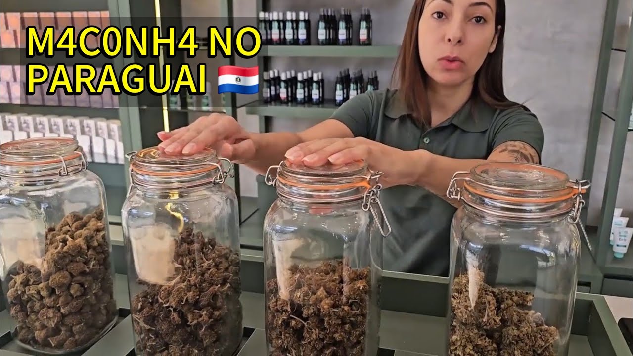 M4C0NH4 LIBERADA NA FRONTEIRA DO BRASIL COM PARAGUAI 🇵🇾 4K