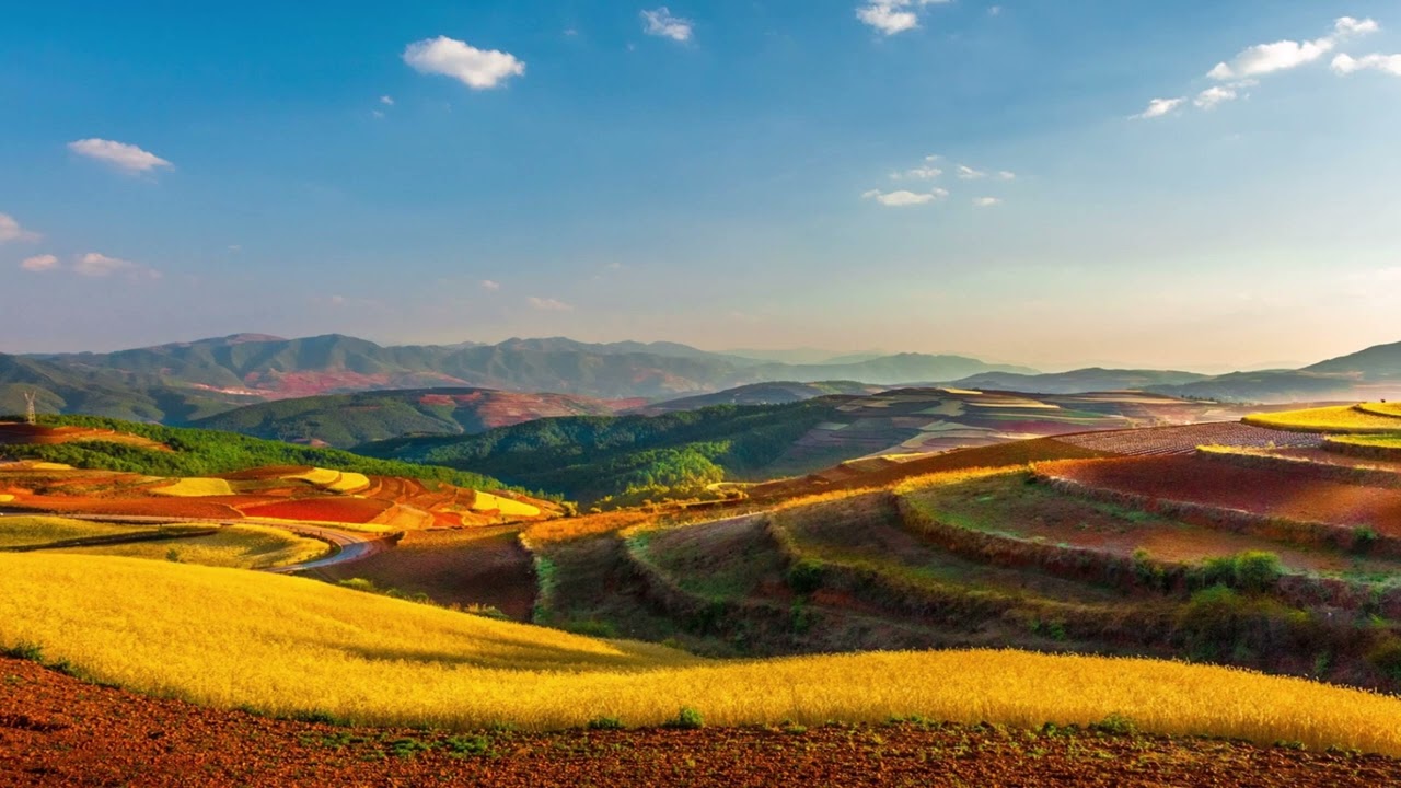 A sunny Meadow ~ Chinese Flute Relax Music