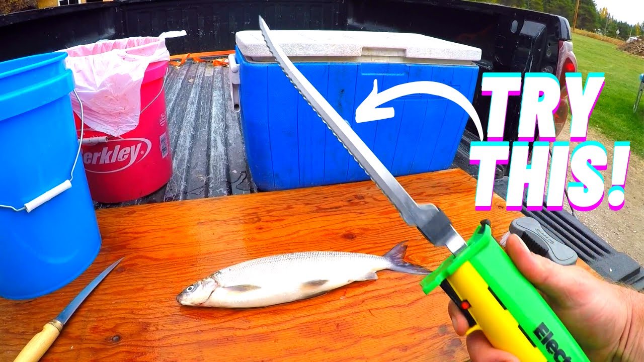 How to Fillet LAKE WHITEFISH (BONELESS)