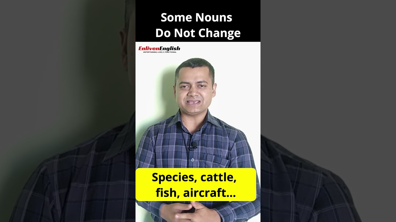 Nouns That Do Not Change || Grammar Capsule 63 || 