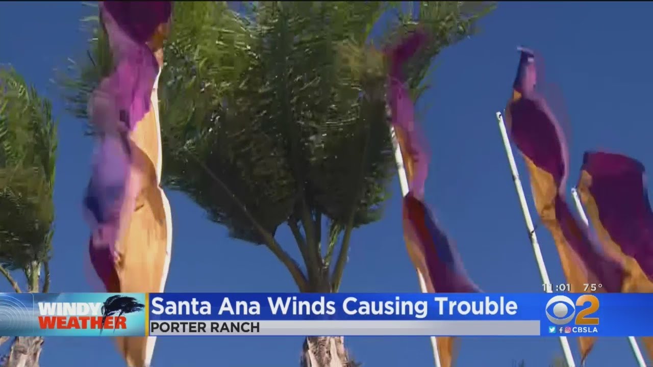 Trees, Trucks Go Down As High Winds Continue To Blow