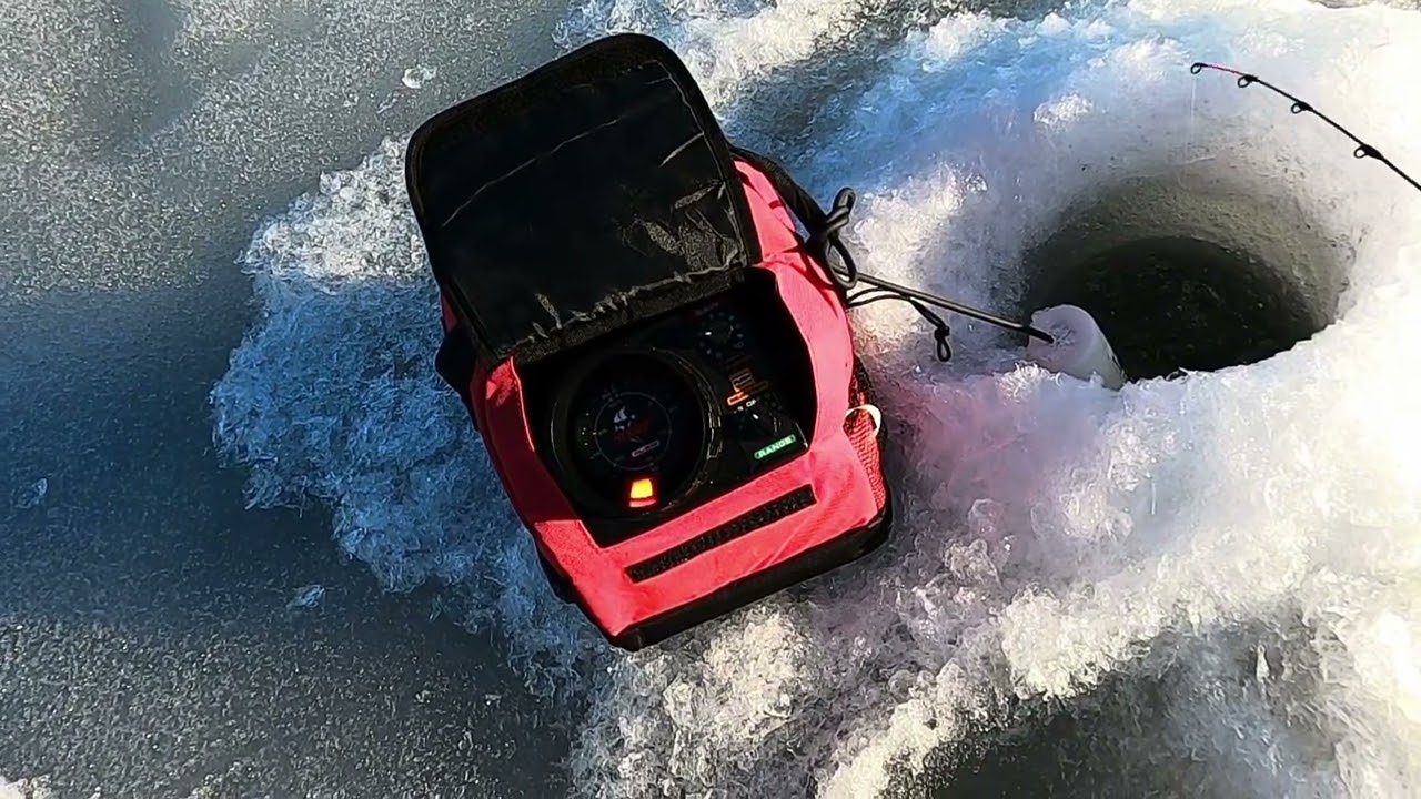 After school ￼crappie bite with dad #fishing#crappies