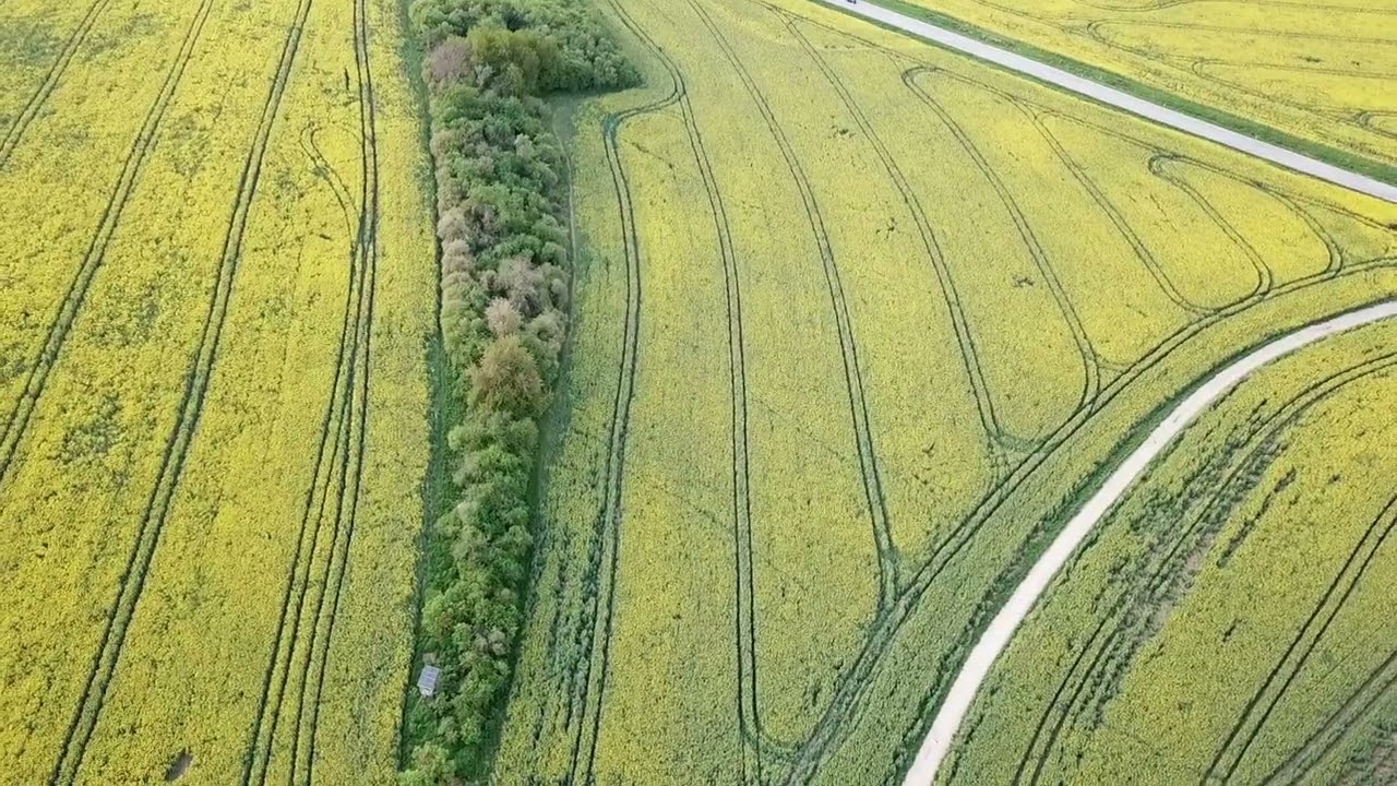 Bývalé muničné sklady vojska, Muničák Nové Mesto nad Váhom  (1.5.2023)1080p