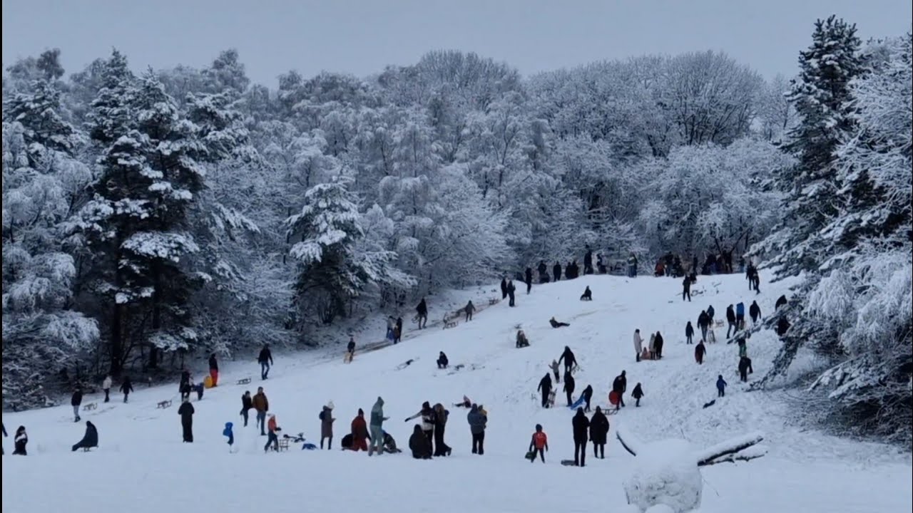 Bos en sneeuw nabij Middelpunt van Nederland (Lunteren), januari 2026
