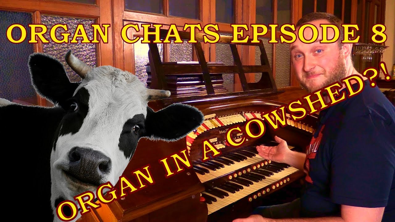 This Organ Was In A Cow Shed?! | Organ Chats | Episode 8