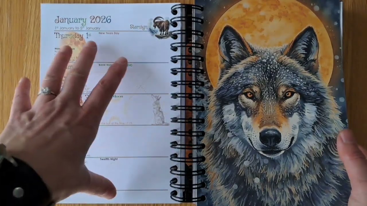 Лунный дневник 2026 года из «Мерцающего котла»