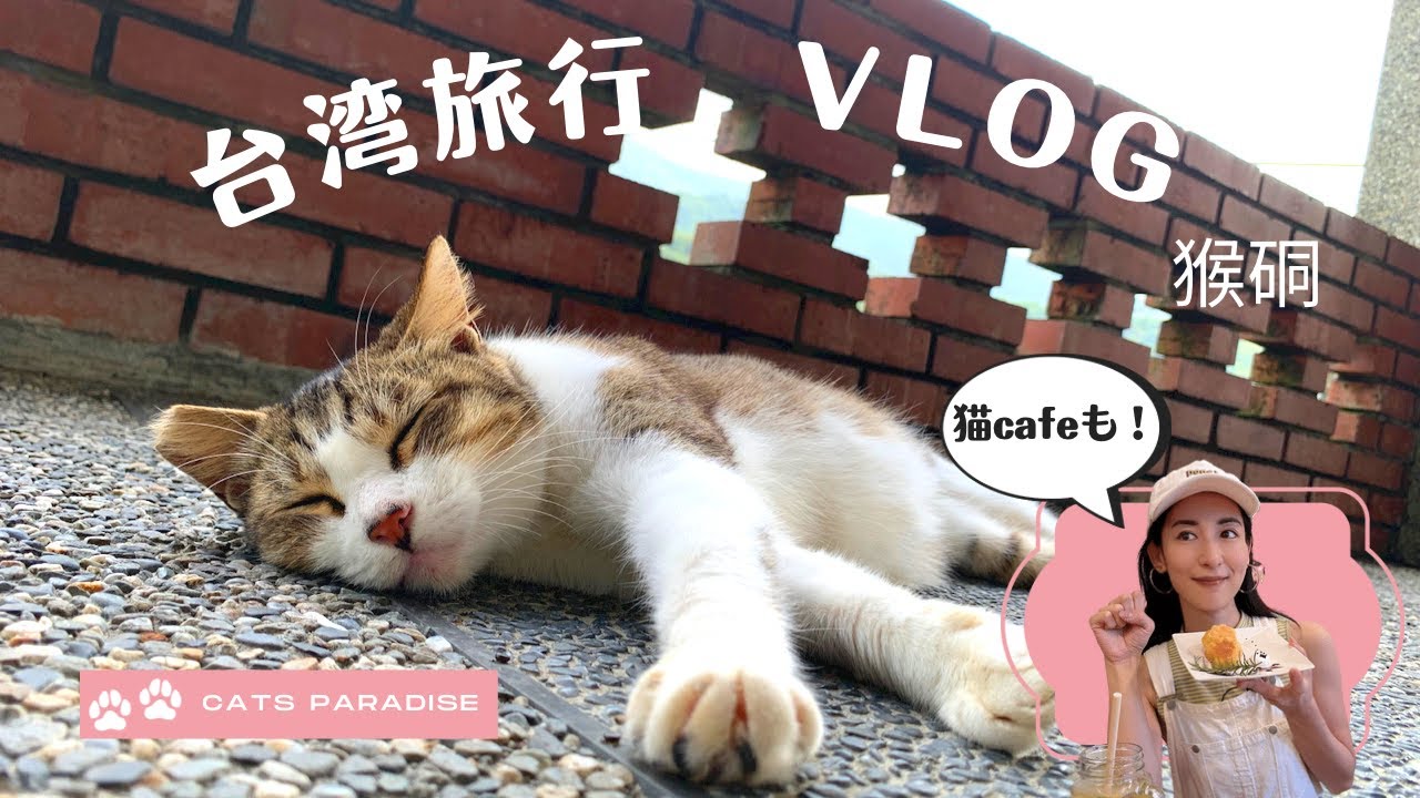 【台湾旅行】愛猫的楽園！猫村「猴硐」超療癒♡(貓奴絕不能錯過的觀光景點「猴硐」療癒旅遊）