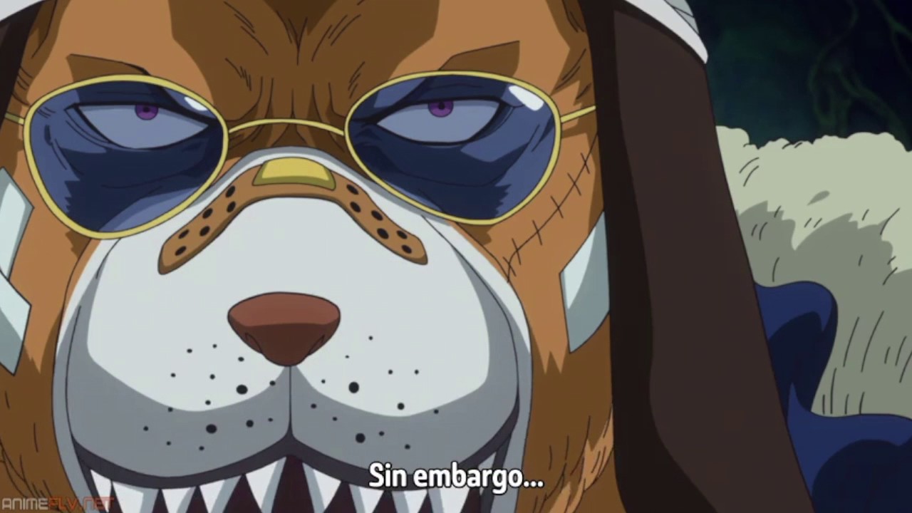 Los Road Poneglyphs - One Piece