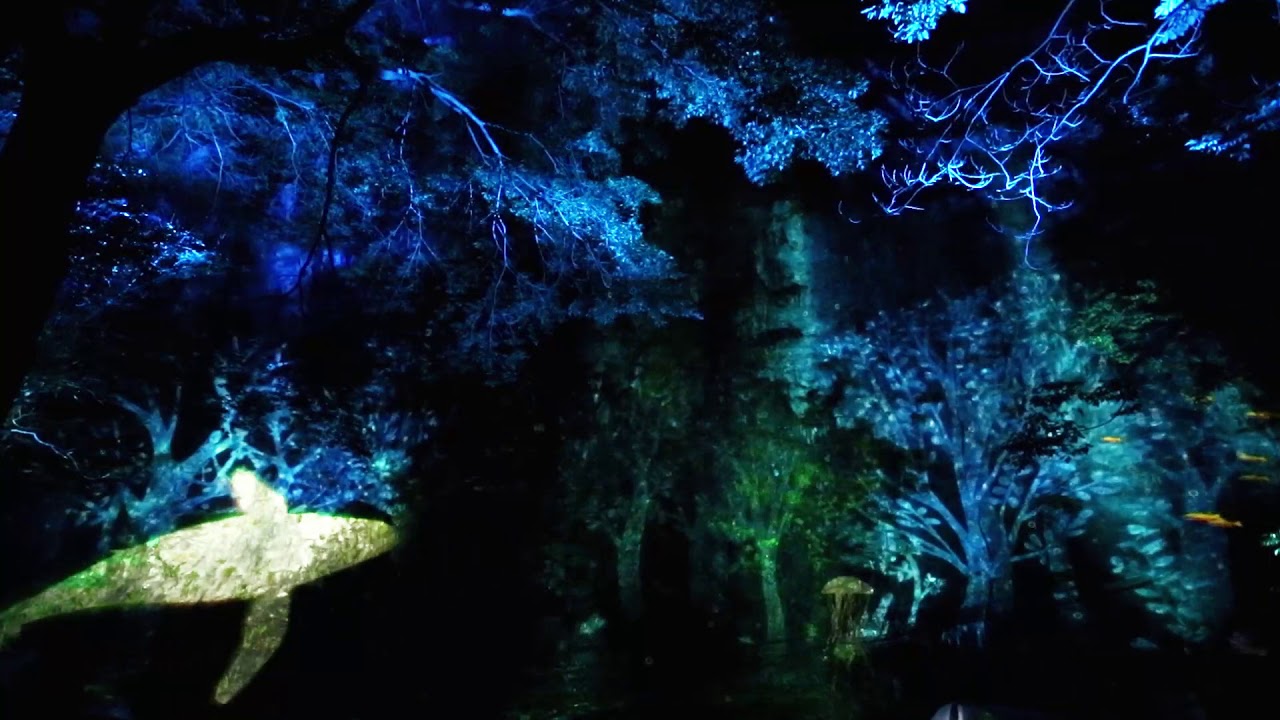 써티데이즈-강천산 환상캠핑-병풍폭포 미디어파사드 projection mapping in the forest by 30DAYs