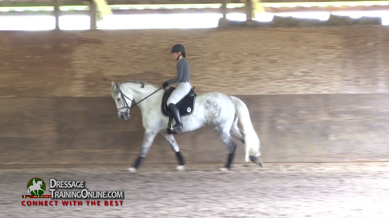 Dressage training with Olympian Laura Graves focusing on how to do walk canter transitions