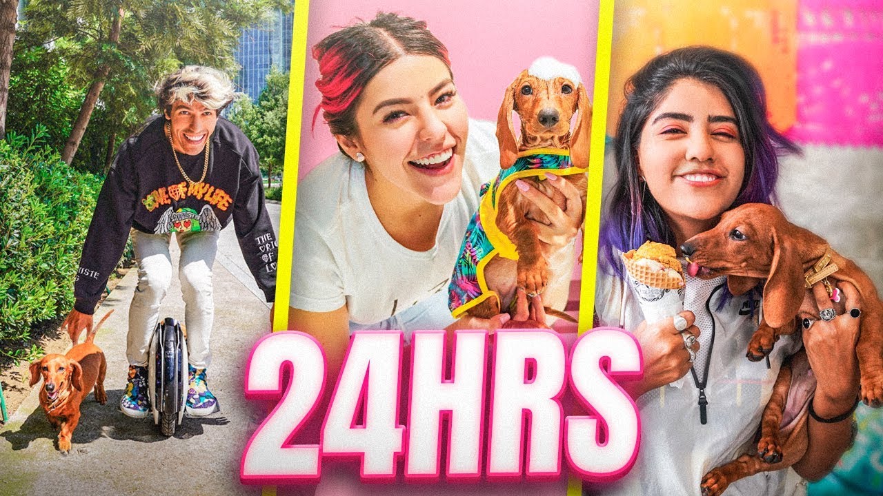 ENTRENANDO, CONSINTIENDO Y MALCRIANDO A CACHORROS POR UN DÍA | LOS POLINESIOS VLOGS
