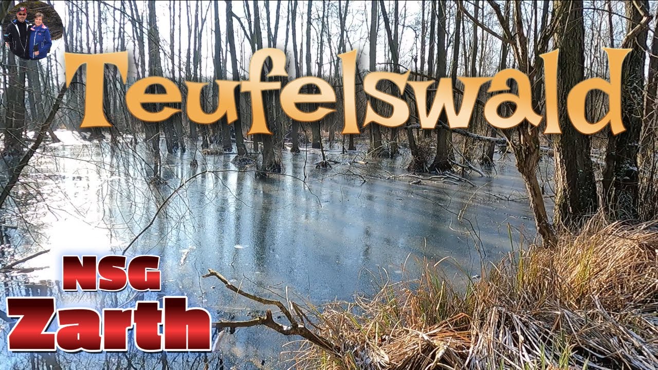 Im Teufelswald - Naturschutzgebiet 