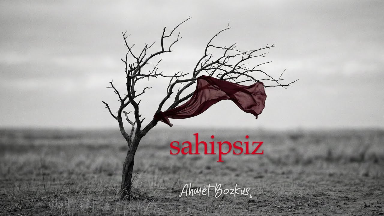 Sahipsiz