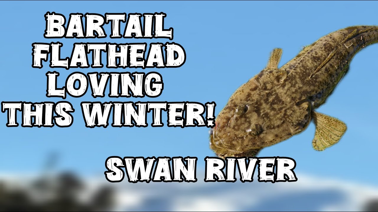 Flathead Loving the Perth Winter this Year!