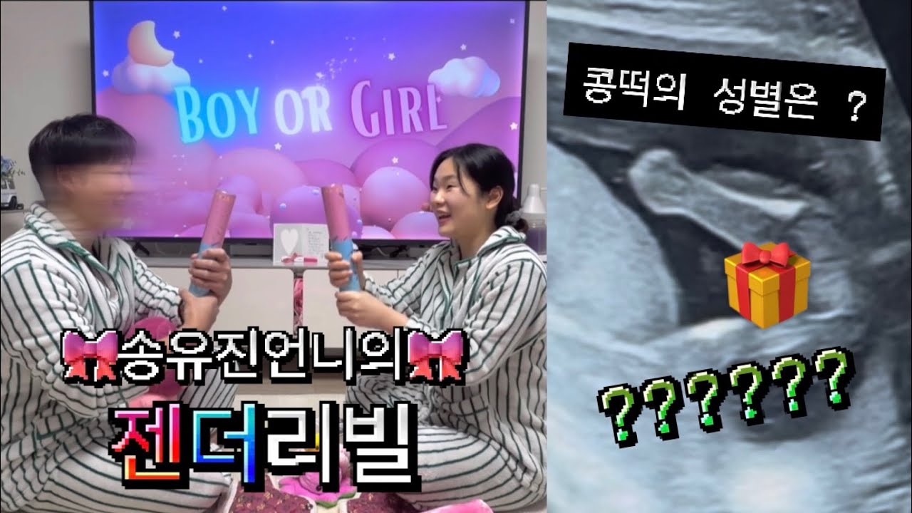 조카의 성별은~~~~? 🎀언니와 형부🎀에게 젠더리필 파티 열어주기❤️💙 (성별공개,젠더리빌,젠더리빌파티,젠더리빌폭죽)
