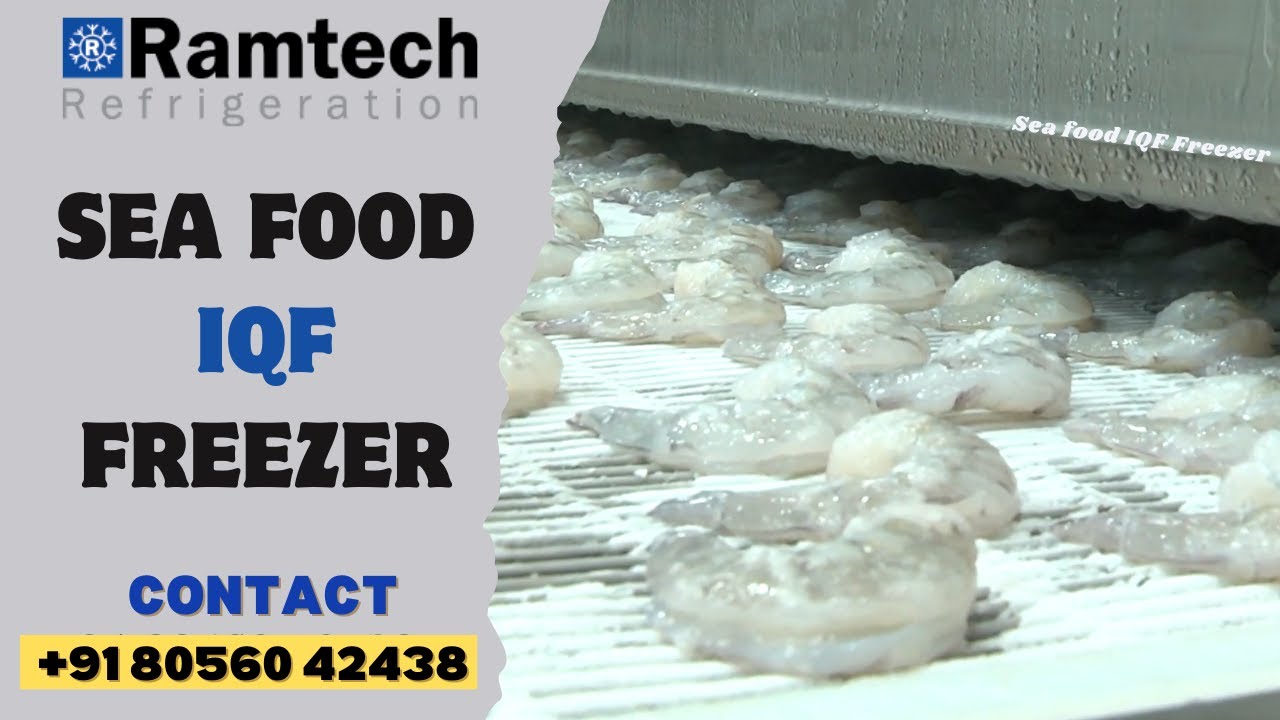 IQF Freezer Manufacturers From India - Ramtech Refrigeration Pvt Ltd