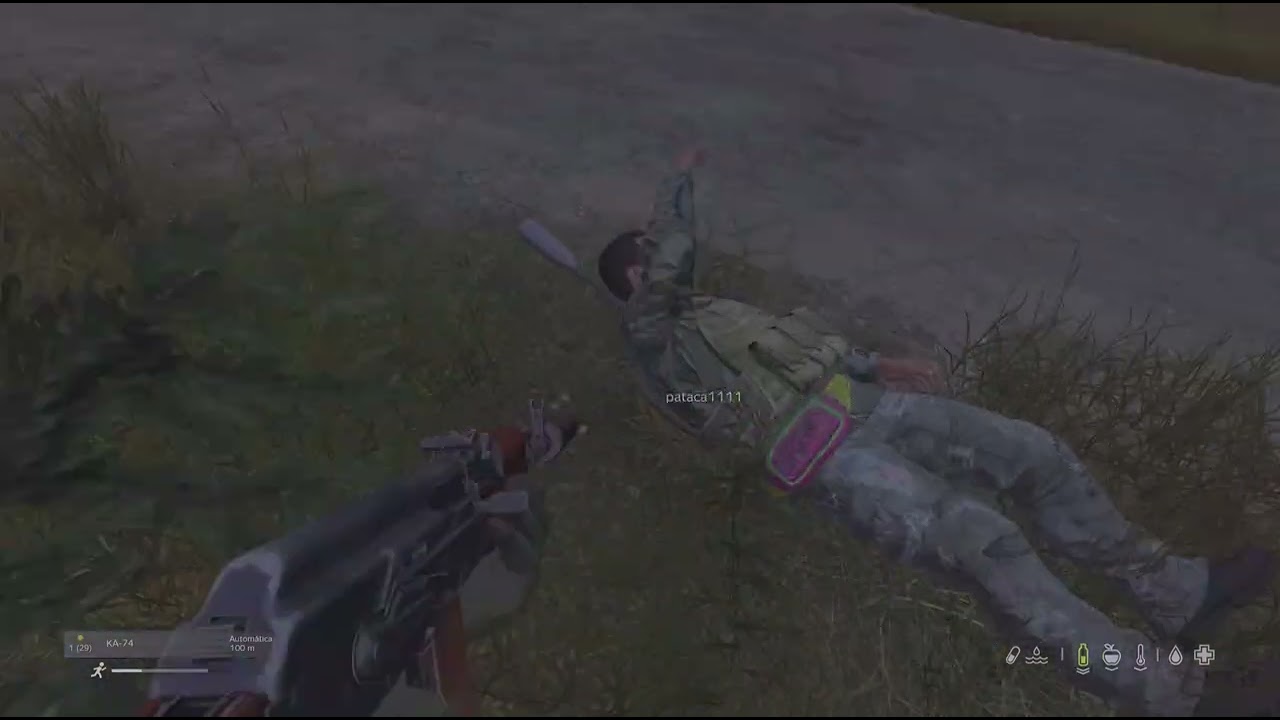 DayZ_20260205194833