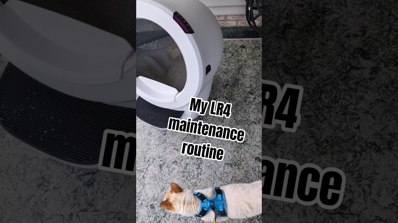 how to clean a litter robot 4 sensors (my quick maintenance routine) #rescuecats #catdaddy #cleaning