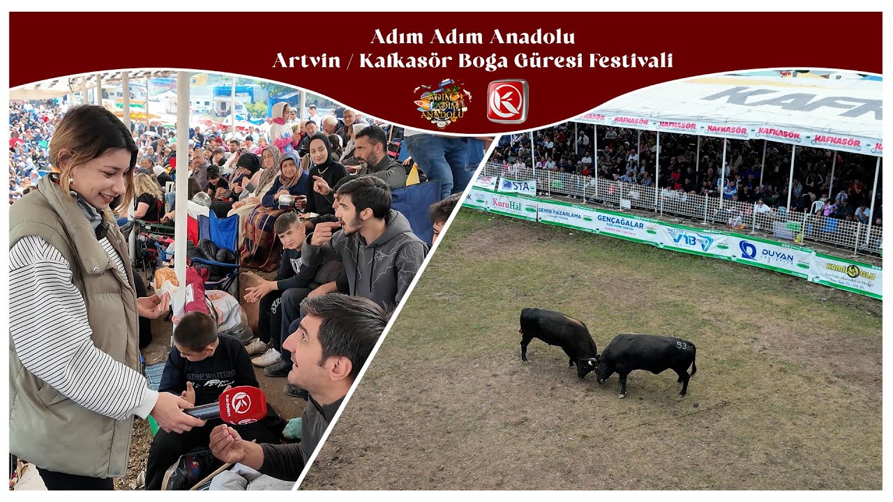 ADIM ADIM ANADOLU | ARTVİN - KAFKASÖR BOĞA GÜREŞİ FESTİVALİ