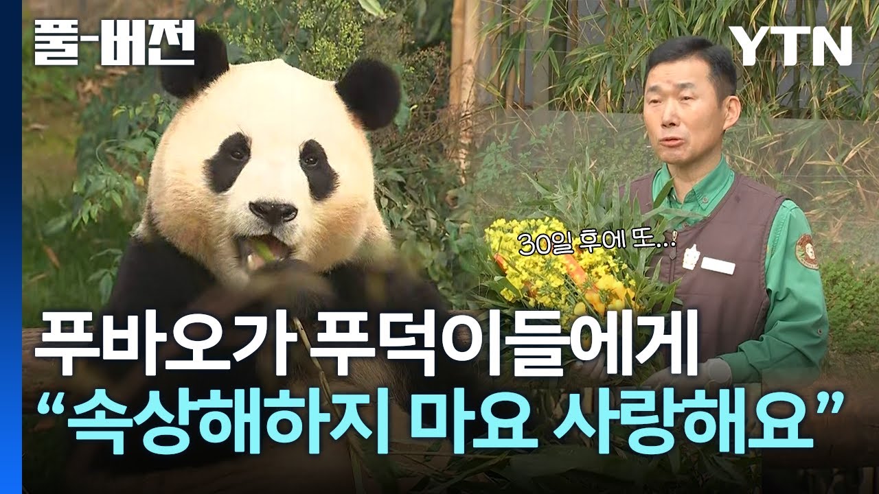 '푸바오와 이별 준비'. 울음 꾹꾹 참은 바오 가족 [풀버전] / YTN