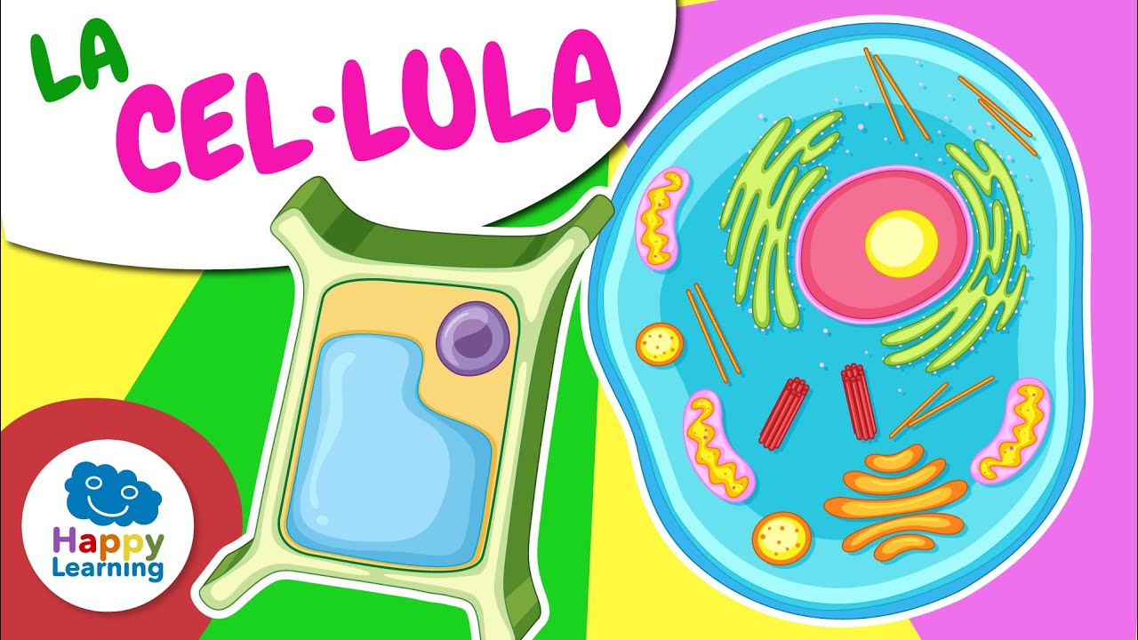 🧬🔬 LA CÈL·LULA | Vídeos educatius per a nens en llengua catalana