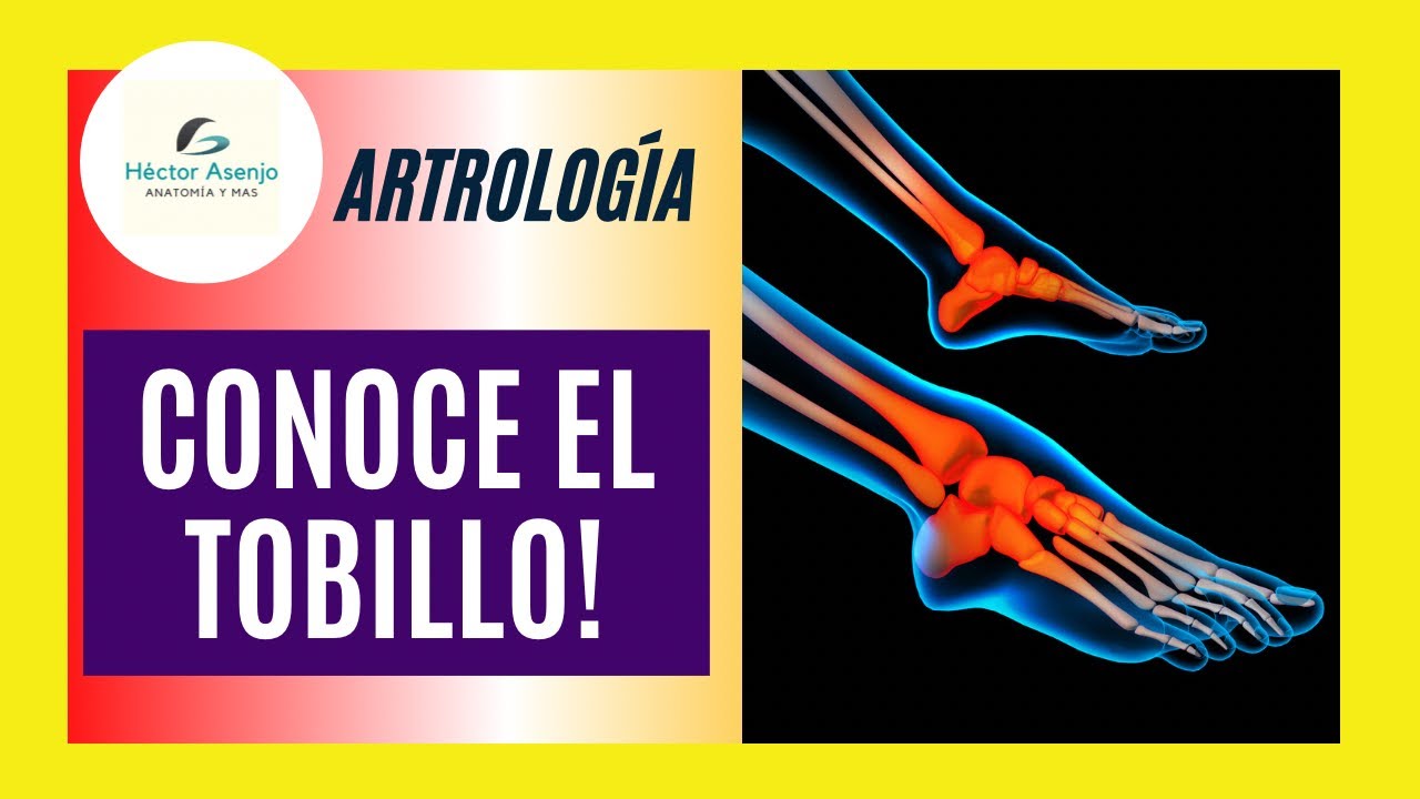 ▶️Conoce el Tobillo ▶️