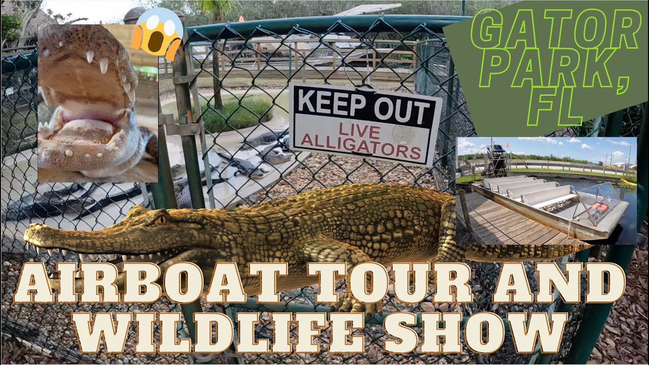 Gator Park, Everglades, FL. Airboat Tour and Wildlife Show!