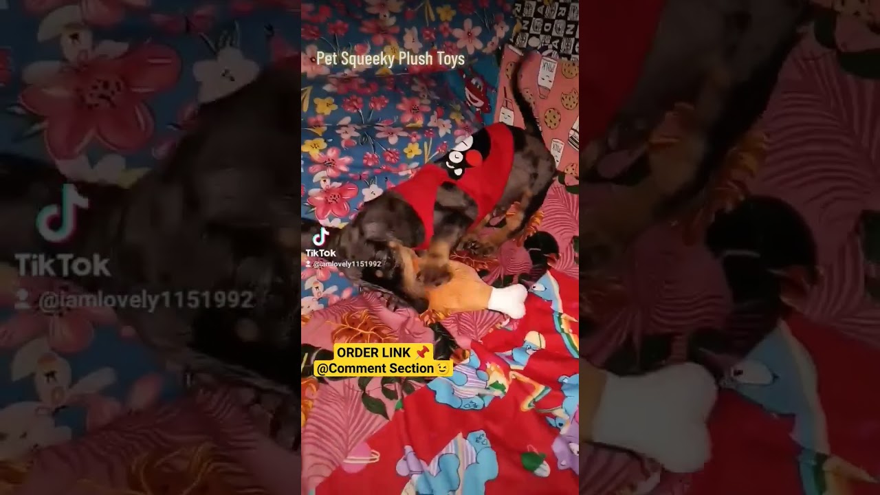 Pet Squeeky Plush Toys 