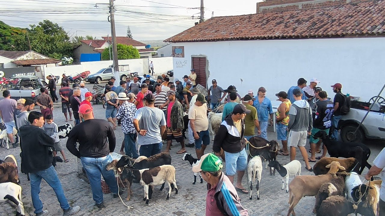 FEIRA DE ANIMAIS DE PUXINANÃ-PB 26/01/2026